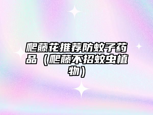 爬藤花推薦防蚊子藥品(爬藤不招蚊蟲植物)