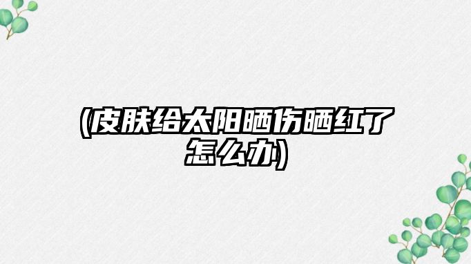 (皮膚給太陽(yáng)曬傷曬紅了怎么辦)