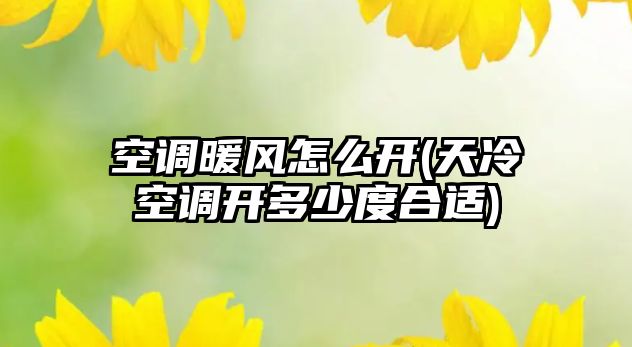 空調(diào)暖風(fēng)怎么開(天冷空調(diào)開多少度合適)