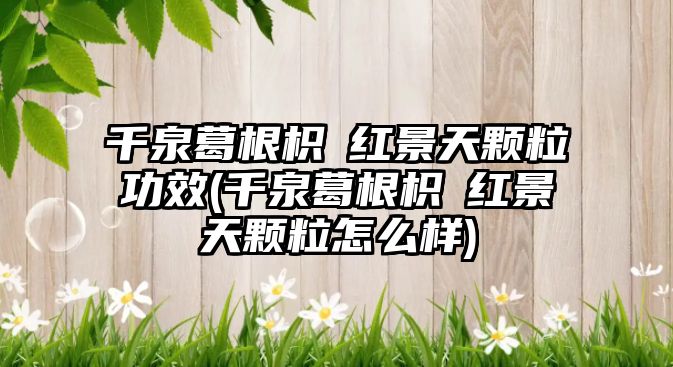 千泉葛根枳椇紅景天顆粒功效(千泉葛根枳椇紅景天顆粒怎么樣)